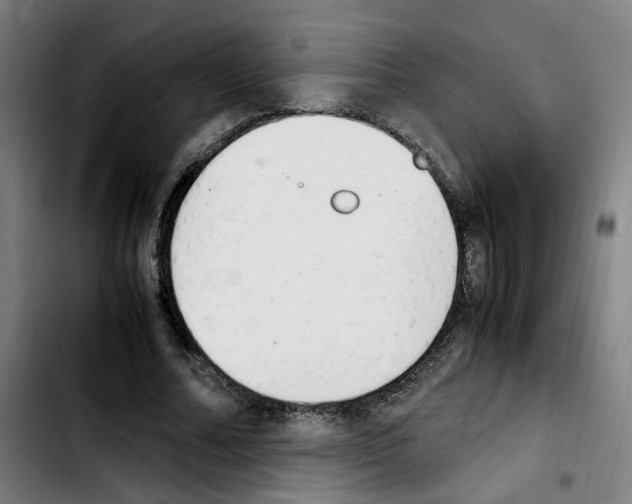 X0000103450682200810241146