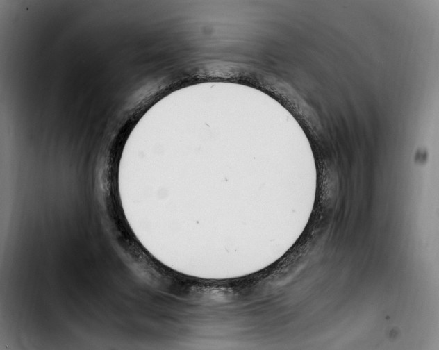 X0000103450683200810241146