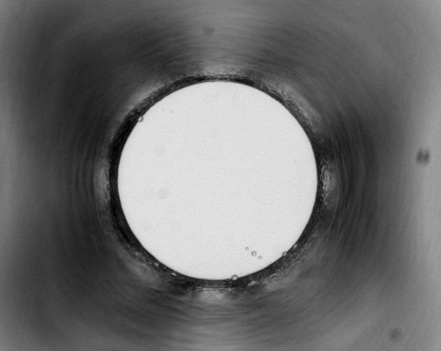 X0000103450684200810241146