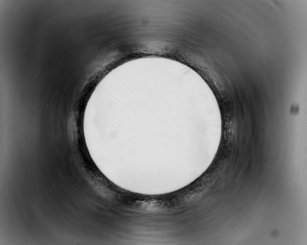 X0000103450688200810241146