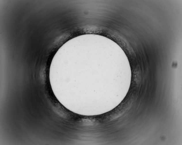 X0000103450690200810241146