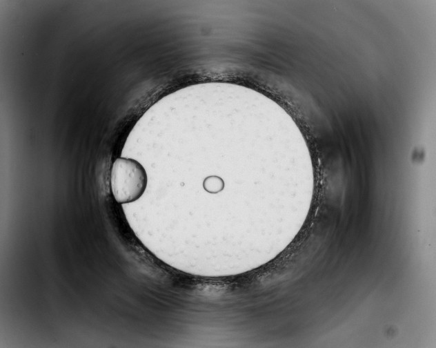 X0000103450694200810241146