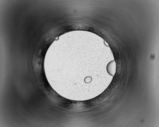 X0000103450695200810241146