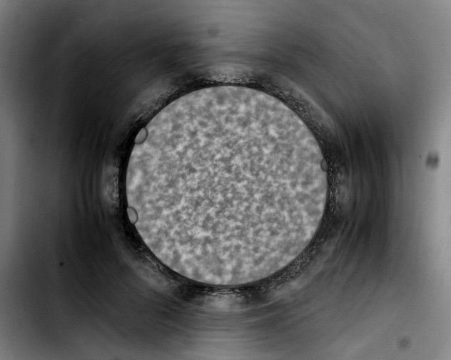 X0000103450696200810241146