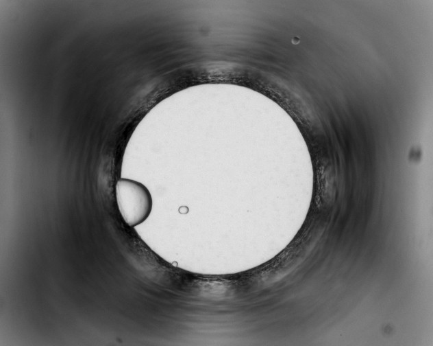 X0000103450698200810241146