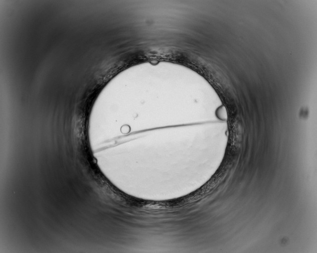 X0000103450699200810241146