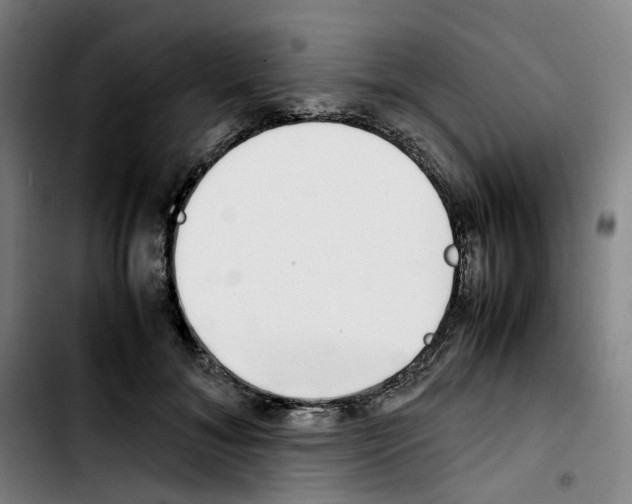 X0000103450700200810241146