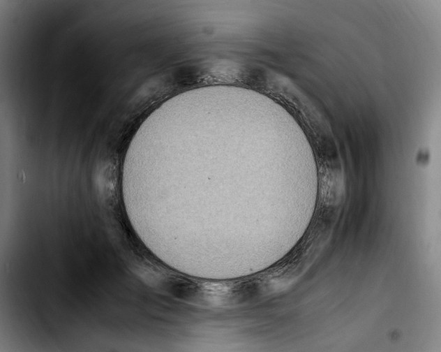 X0000103450701200810241146