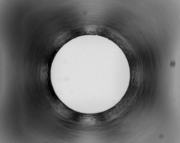 X0000103450702200810241146