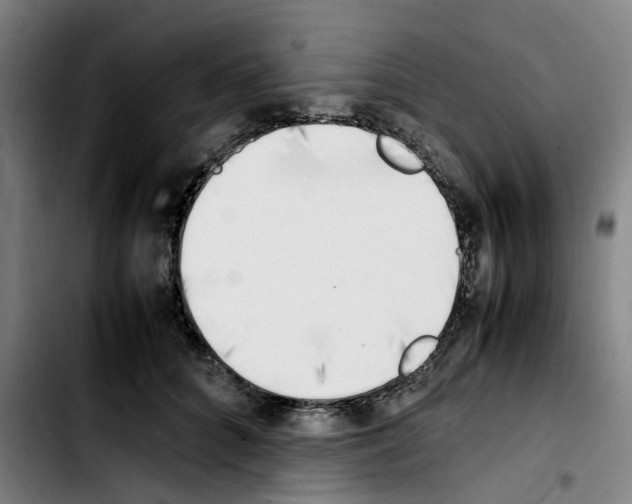 X0000103450704200810241146