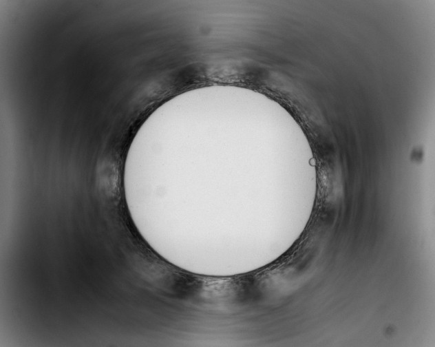 X0000103450705200810241146