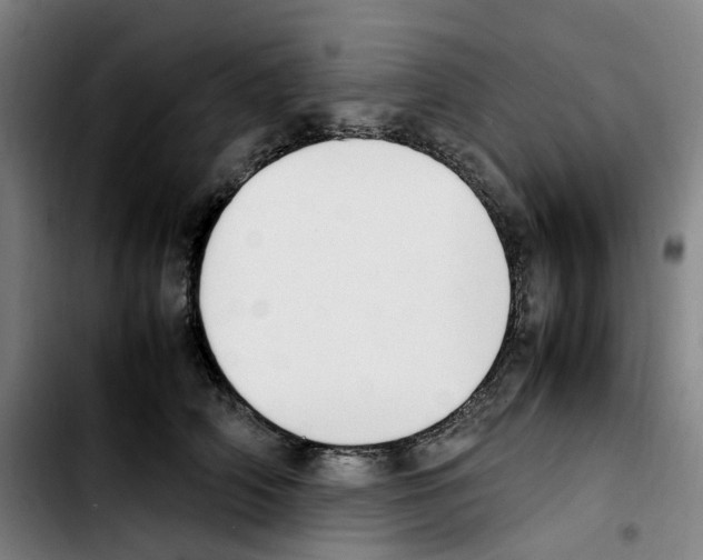 X0000103450706200810241146