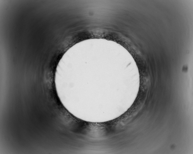 X0000103450707200810241145