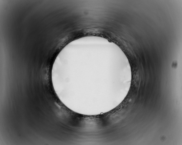 X0000103450708200810241145