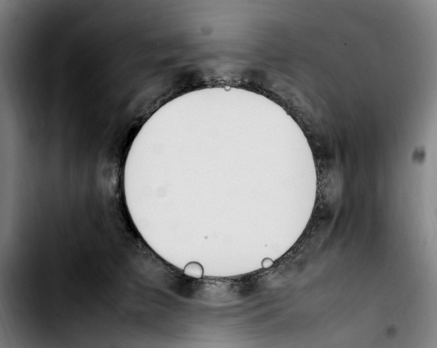 X0000103450709200810241145