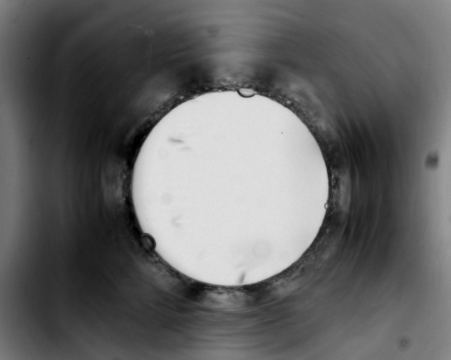 X0000103450712200810241145