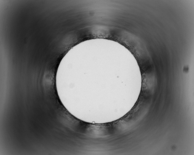 X0000103450713200810241145