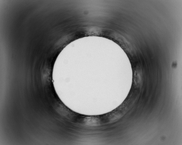 X0000103450714200810241145