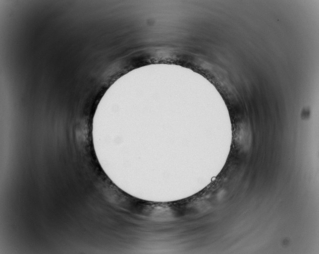 X0000103450715200810241145