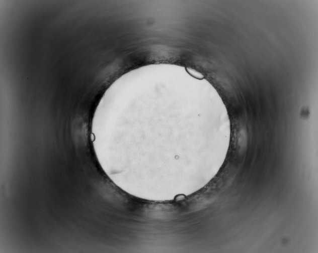 X0000103450716200810241145