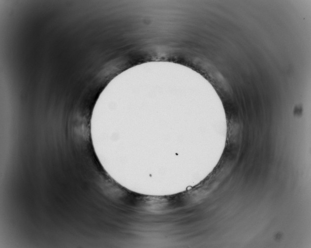 X0000103450719200810241145