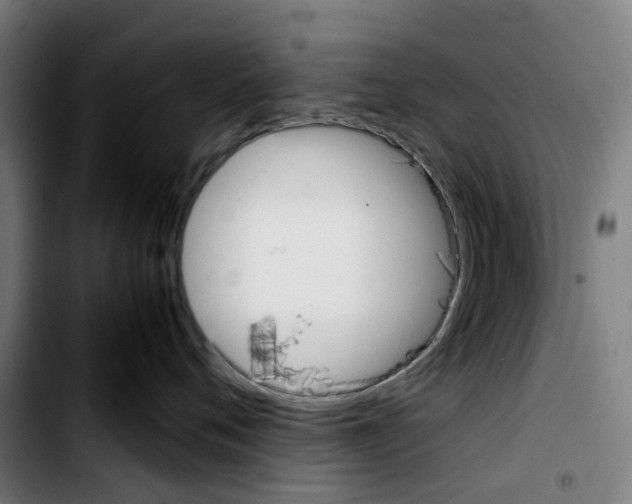 X0000103450720200810241145