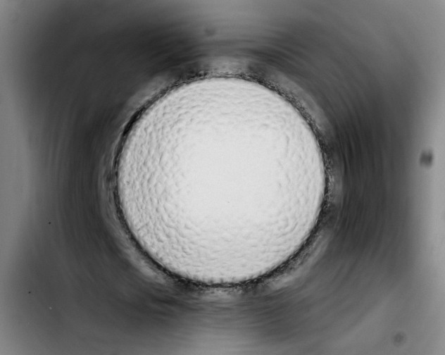 X0000103450721200810241145