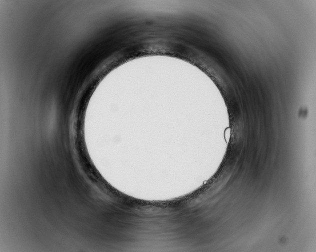 X0000103450722200810241145