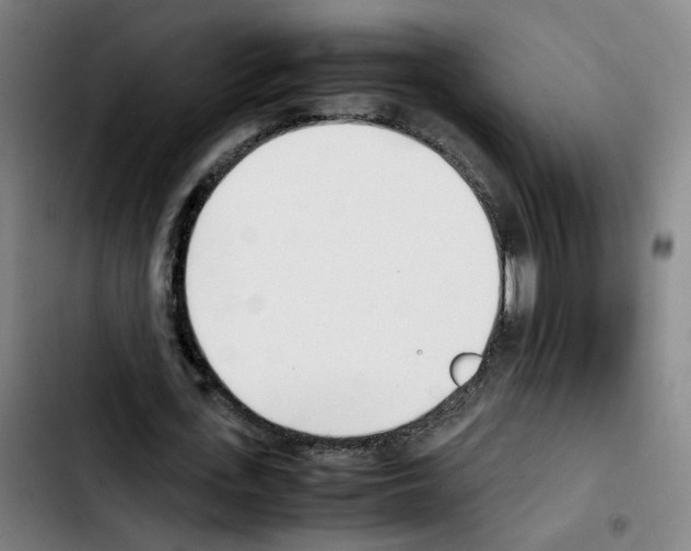 X0000103450723200810241145