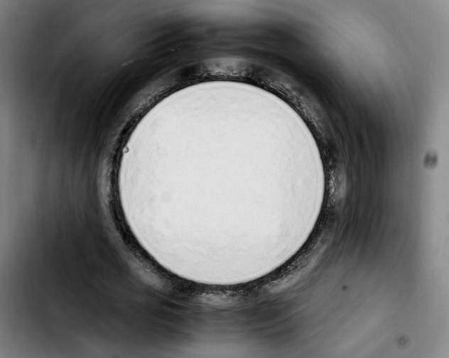 X0000103450725200810241145