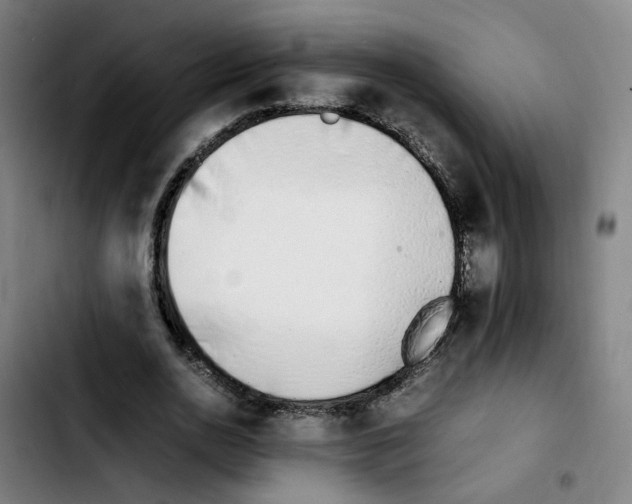 X0000103450726200810241145