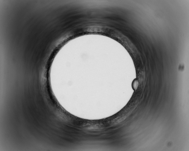 X0000103450727200810241145