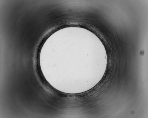 X0000103450728200810241145