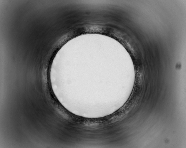 X0000103450729200810241145