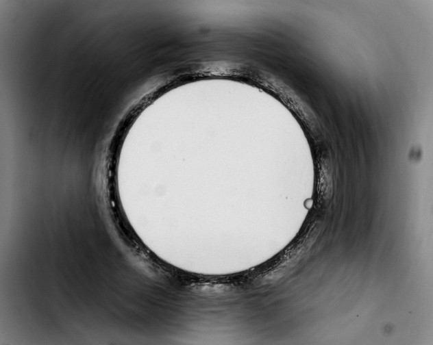 X0000103450730200810241145