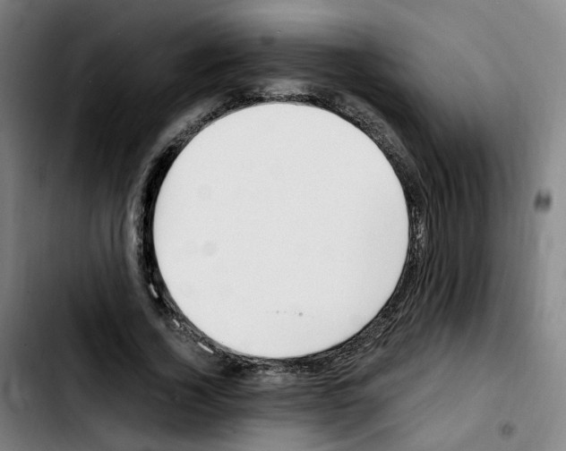 X0000103450732200810241145