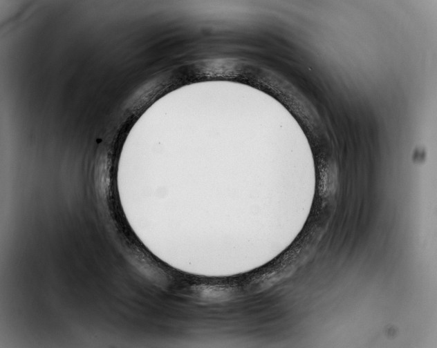 X0000103450733200810241145