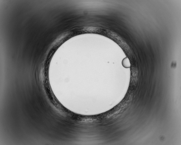 X0000103450734200810241145