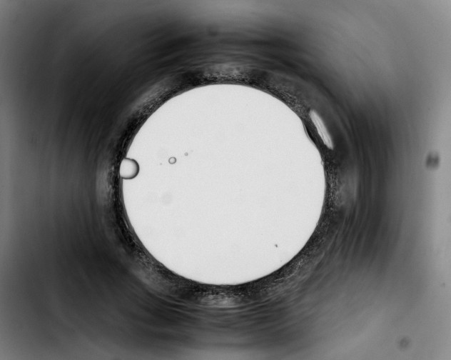 X0000103450735200810241145