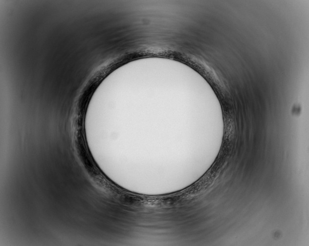 X0000103450736200810241145