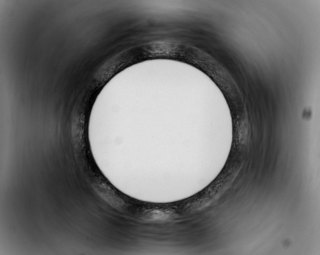 X0000103450737200810241145