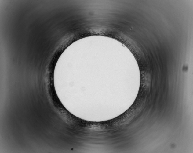 X0000103450738200810241145