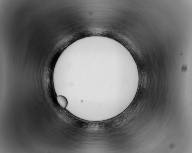 X0000103450740200810241145