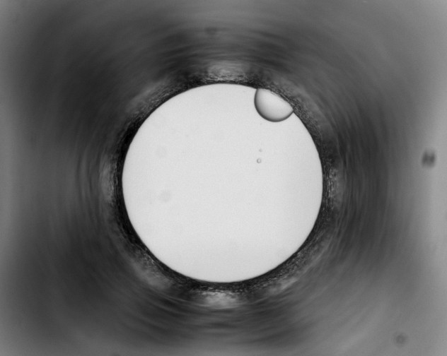 X0000103450741200810241145