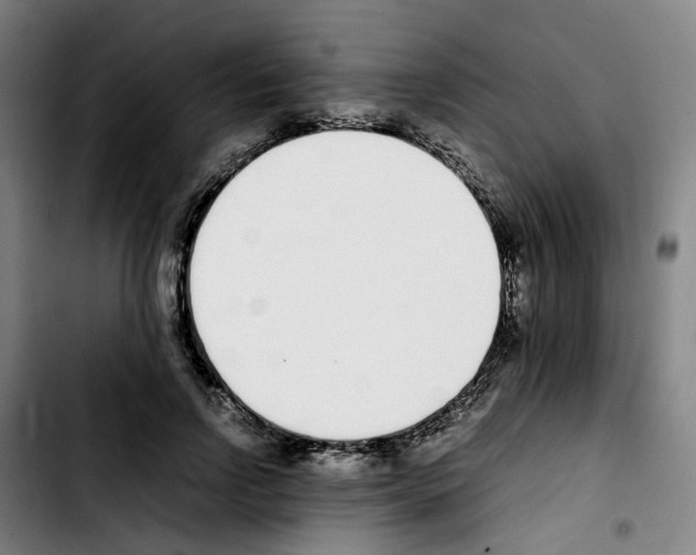 X0000103450742200810241145