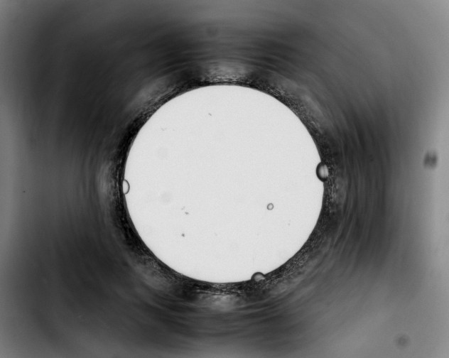 X0000103450743200810241145