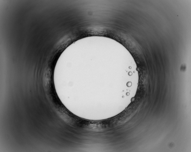 X0000103450744200810241145