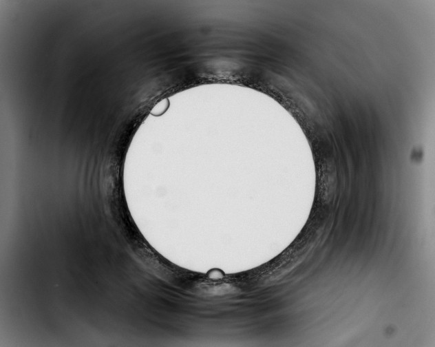 X0000103450747200810241145