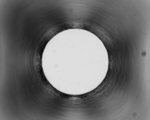 X0000103450748200810241145