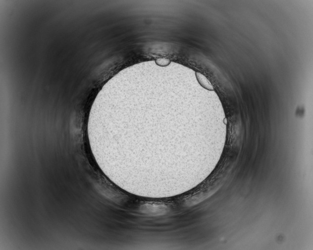 X0000103450749200810241145